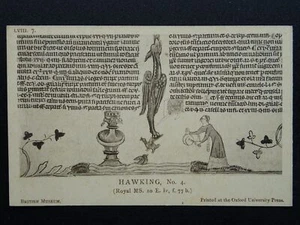 Mediaeval Sport HAWKING Birds of Prey (4) c1905 Postcard by Oxford University - Picture 1 of 2