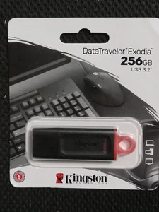 Kingston Technology Data Traveler Exodia USB3.2 256GB Type A Flash Drive - Picture 1 of 1