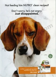 2022 Mars Nutro Dog Food Clean Recipes PRINT AD Unique Gift Idea? (2028) - Picture 1 of 1