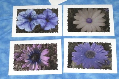 4 SYMPATHY Flower Photo Cards, 5X7 cards, Purple flowers, B&W Photography - Image 1 of 4