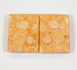 Par de piedras preciosas fosilizadas cabujón radiante coral fósil natural de 26 quilates DH = 379 - Imagen 1 de 7