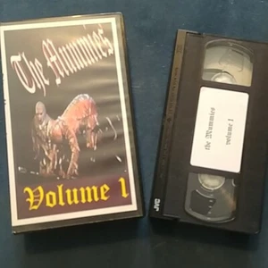 The Mummies VHS Volume 1 Live 1993 Garage Punk Rock Concert - Bild 1 von 3