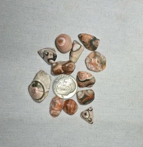 RT Rocks! Minnesota Thomsonit Lot, Augen, 8 Gramm Lot, kostenloser Versand - Bild 1 von 10