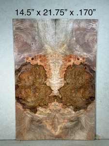 Ambrosia MAPLE BURL - Gitarrenplatte Gitarrenbauer Holz Schnittholz Materialien Bassgitarre - Bild 1 von 11