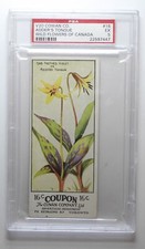 1924 V20 Cowan Co. Wild Flowers of Canada #16 Adder's Tongue PSA 5