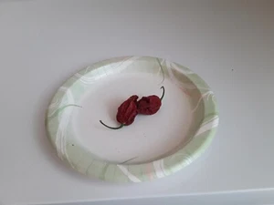 40 Authentic Chocolate Apocalypse Scorpion Pepper Seeds World's hottest pepper. - Picture 1 of 2
