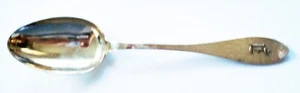 SHREVE & COMPANY - CUCHARA PARA SERVIR ANTIGUA MARTILLADA PLATA 8" - MONO "E" - Imagen 1 de 3
