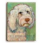 One Bella Casa 0004-1972-25 9 x 12 in. Goldendoodle Solid Wood Wall Decor by ...