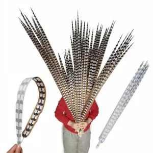 Plumas de faisán realistas artificiales de 10 piezas para accesorios de disfraz hágalo usted mismo escenario carnaval - Imagen 1 de 22