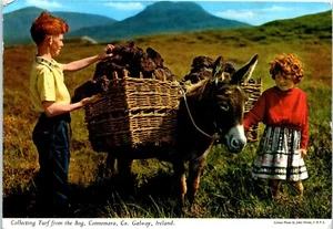 Collecting Turf from the Bog, Connemara, Co. Galway, Ireland Postcard c1970 - Picture 1 of 2