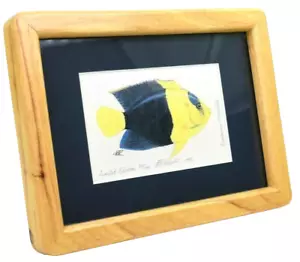 1992 Angelfish Tropical Fish Double Artist Signed Limited Edition Art Litho - Bild 1 von 10