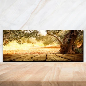 Küchenrückwand Spritzschutz aus Glas 125x50 Deko Landschaften Olivenbaum - Bild 1 von 5