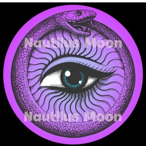 Schlange Ouroboros "böser Blick" Vinyl Aufkleber 3" Kreis - kostenloser Versand - Bild 1 von 2