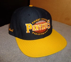 RARE VINTAGE NWT DELONG SWEET HOME PANTHERS LOGO FOOTBALL CAP TRUCKERS HAT - Picture 1 of 5
