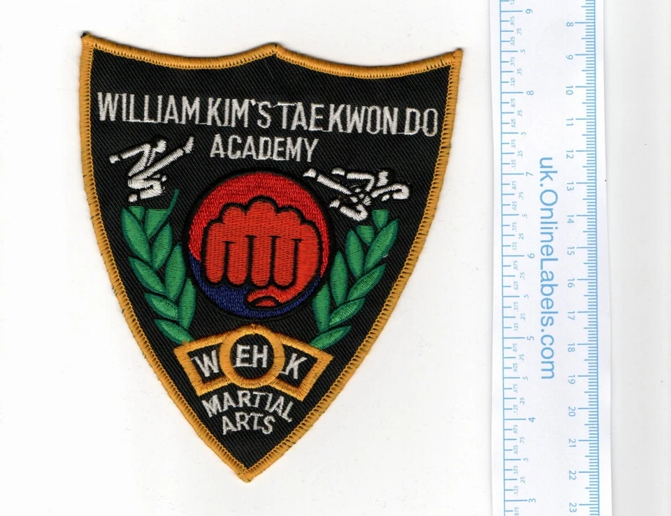 TAEKWONDO PATCH - RETRO COLLECTIBLE - Image 1 of 1