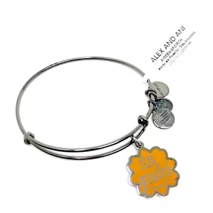 Alex and Ani Stay Grounded Charm Bangle Bracelet in Midnight Silver NWT - Picture 1 of 3