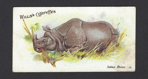 WILLS (AUS) - WILD ANIMALS OF THE WORLD - #15 INDIAN RHINOCEROS