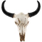 Resin  Cow Skull Head Wall Hanging Decor 3D Animal Wildlife Sculpture6339