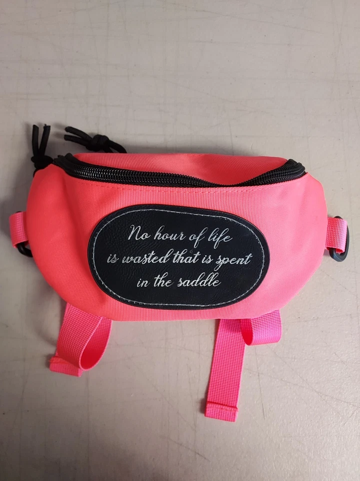 Bolso Saddle Pommel Rosa Grabado Regalo Foto 1 de 1