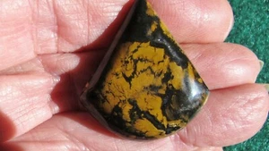 * Colorado Petrified Wood * Cabochon **  Nice Pattern ** 32 cts. - Picture 1 of 6
