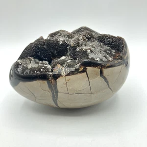 Septarian Knötchen Drachenei Stein Geode mit schwarzen Druzy Kristallen 4+ Pfund 6" x 4" - Bild 1 von 24
