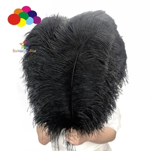 Venta al por mayor Varilla Dura 5 piezas Plumas de Avestruz Negro Natural 60-65cm/24-26" Boda - Imagen 1 de 10
