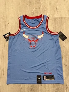 CHICAGO BULLS NBA SWINGMAN BASKETBALL BLANK JERSEY NIKE MENS SIZE L 48 - Picture 1 of 11