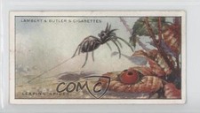 1924 Lambert & Butler Wonders of Nature Tobacco Leaping Spider #19 a8x