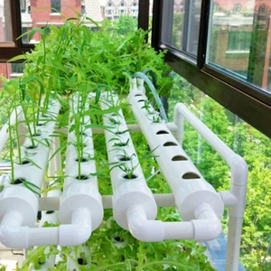 36 Sites Hydroponic Grow Tool Kits Vegetable Garden System Home Water Pump 220V - Picture 1 of 11