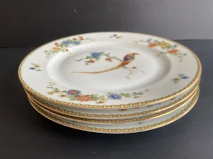 M Z Altrohlau CM-R Golden Pheasant 9⅝" Dinner Plate Czechoslovakia  Set Of 4 - Bild 1 von 4