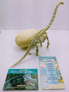 Tiny Perfect Dinosaur Series, BRACHIOSAURUS, Poster Libro Modello Uovo Fossilizzato - Foto 1 di 12