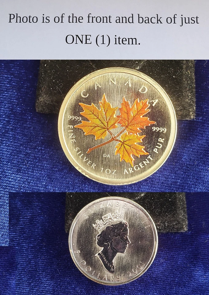 Canada 2001 Silver Maple Leaf Colorized 1 Troy Oz .9999 Silver Coin - Image 1 of 1