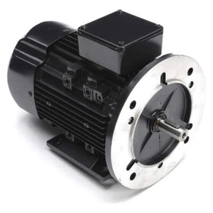 LEESON 080T17FH15514 GP Motor,1 HP,1,740 RPM,230/460V AC,80D 53UF68 - Picture 1 of 2