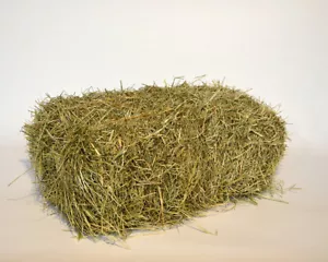 16 kg Heuballen Knabberheu (1. Schnitt) | Heu für Kaninchen Schafe Pferde Hasen - Bild 1 von 7