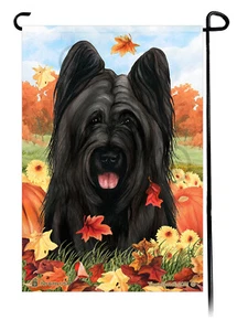 Bandera de jardín Falling Leaves - Briard negro recortado - Imagen 1 de 1