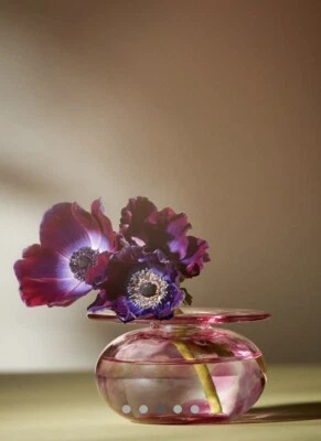 Novo Vaso de Vidro Borosilicato Rosa Anthropologie Vaso Budvase Castiçal - Imagem 1 de 4