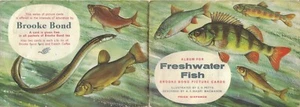 'Freshwater Fish' Brooke Bond Tea card album - incomplete album, No 34 missing - Picture 1 of 3