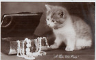 VINTAGE postcard:  KITTEN CAT WITH JEWELLRY BOX
