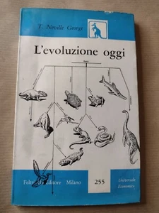 T. Neville George DIE EVOLUTION HEUTE / Feltrinelli Erstausgabe 1958 - Bild 1 von 1