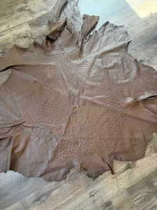 Ostrich skin Leather,  B  16 - Picture 1 of 4