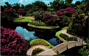 Reflexion Lagune Brücke Blumen Zypressen Gärten Florida Postkarte unbesendet - Bild 1 von 2