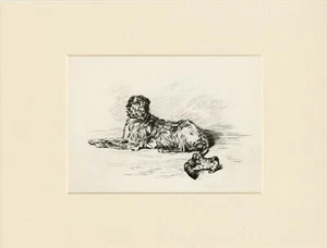 IRISH WOLFHOUND & PEKINGESE PUP OLD 1934 MOUNTED DOG ART PRINT by PERSIS KIRMSE - Picture 1 of 1