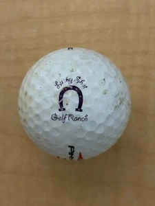 Lucky Shot Golf Ranch. Logo Golf Ball - Picture 1 of 1