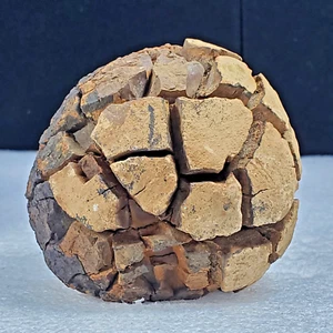 587 G Septarium Dragon Stone Septarian like Brain Crystal Rough Mineral Specimen - Picture 1 of 10