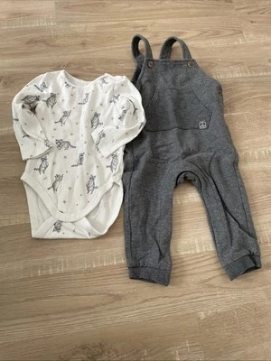 C&A Baby, Langarmbody und Latzhose, Größe 74, Motiv Waschbär - Bild 1 von 4