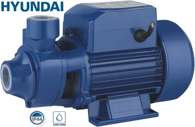 POMPA ELETTRICA ACQUA ELETTROPOMPA PERIFERICA CON PER AUTOCLAVE AUTOADESCANTE - Immagine 1 di 4