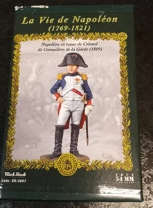 BlackHawk: BH0607 Napoleon colonel (1809) - Picture 1 of 5
