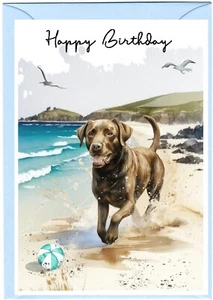 Labrador Dog (Chocolate/Brown) Birthday Card (4"x 6") - blank inside - Starprint - Picture 1 of 1