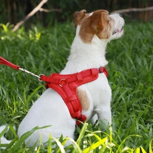 Hundegeschirr Einstellbar Anti Zug Weich Mesh Nylon Gepolstert Hunde verstellbar - Bild 1 von 7