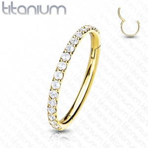 Implant Grade Solid Titanium Hinged Segment Rings W/ CNC Set CZ Ear Cartilage   - Picture 1 of 10